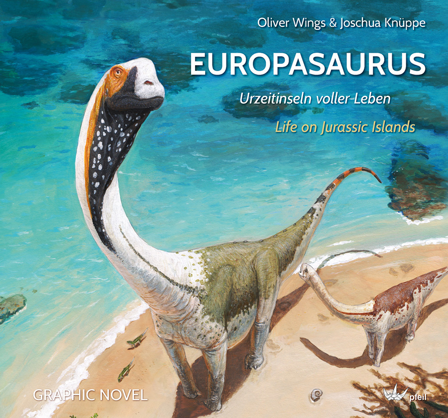 Euro_cover_2021_900