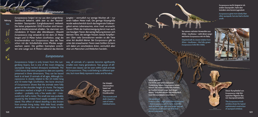 Europasaurus_Sachseite_02